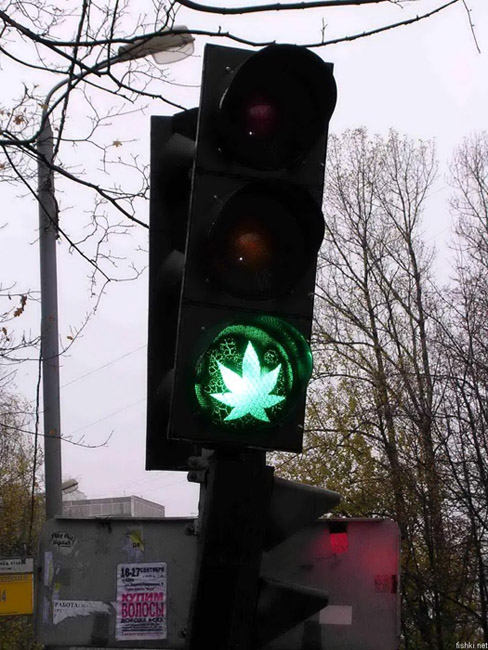 Rasta traffic lights